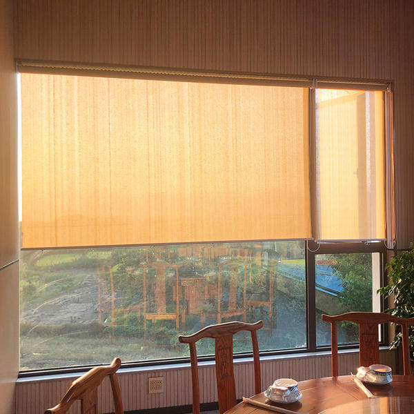 It may be time to consider getting a Polyethylene window shade
